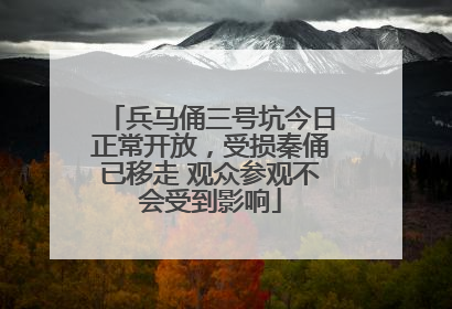 兵马俑三号坑今日正常开放，受损秦俑已移走 观众参观不会受到影响