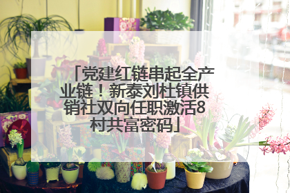 党建红链串起全产业链！新泰刘杜镇供销社双向任职激活8村共富密码