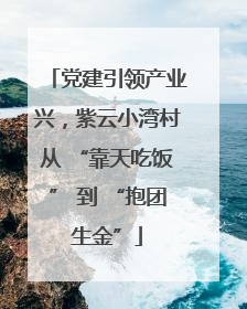 党建引领产业兴，紫云小湾村从 “靠天吃饭” 到 “抱团生金”