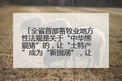全省首部畜牧业地方性法规是关于“中华熊猫猪”的，让“土特产”成为“新国潮”，让“农产品”升格为“城市IP”