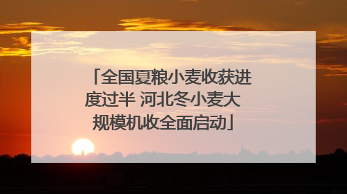 全国夏粮小麦收获进度过半 河北冬小麦大规模机收全面启动