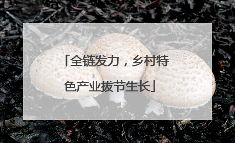 全链发力，乡村特色产业拔节生长