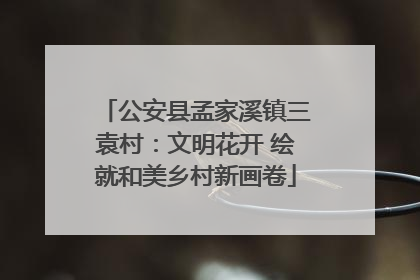 公安县孟家溪镇三袁村：文明花开 绘就和美乡村新画卷