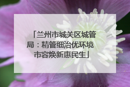 兰州市城关区城管局：精管细治优环境 市容焕新惠民生