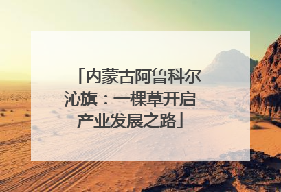 内蒙古阿鲁科尔沁旗：一棵草开启产业发展之路