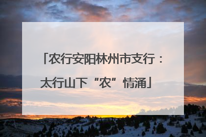 农行安阳林州市支行：太行山下“农”情涌