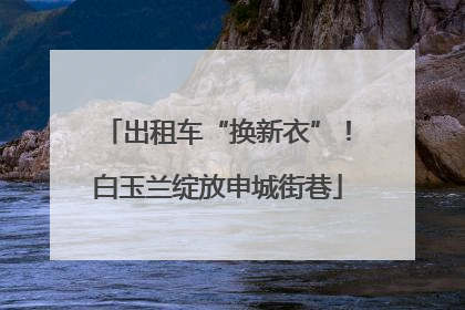 出租车“换新衣”！白玉兰绽放申城街巷