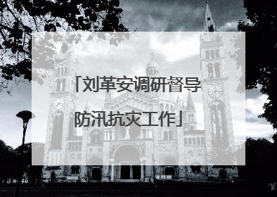 刘革安调研督导防汛抗灾工作
