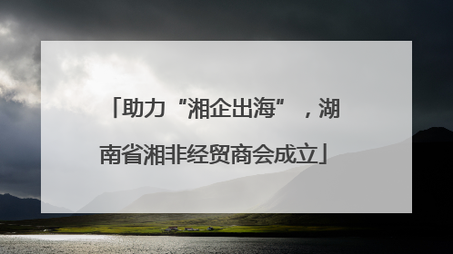 助力“湘企出海”，湖南省湘非经贸商会成立