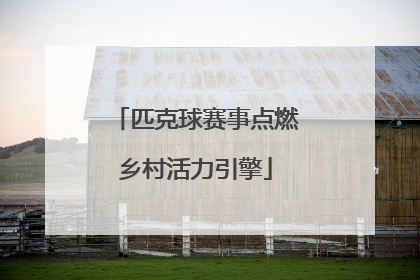 匹克球赛事点燃乡村活力引擎