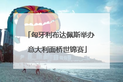 匈牙利布达佩斯举办意大利面桥世锦赛