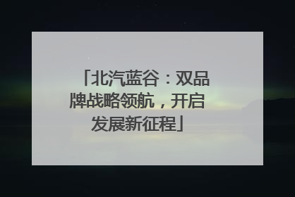 北汽蓝谷：双品牌战略领航，开启发展新征程