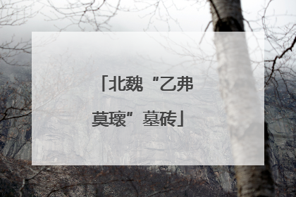 北魏“乙弗莫瓌”墓砖