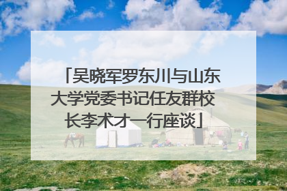 吴晓军罗东川与山东大学党委书记任友群校长李术才一行座谈