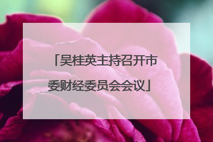 吴桂英主持召开市委财经委员会会议