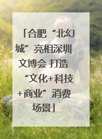 合肥“北幻城”亮相深圳文博会 打造“文化+科技+商业”消费场景