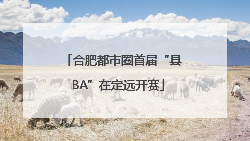 合肥都市圈首届“县BA”在定远开赛