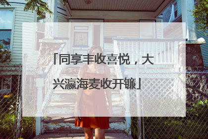 同享丰收喜悦，大兴瀛海麦收开镰
