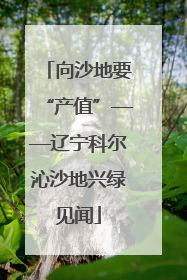 向沙地要“产值”——辽宁科尔沁沙地兴绿见闻