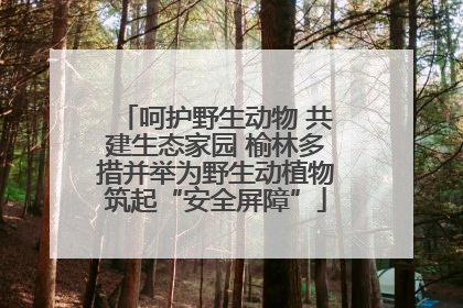 呵护野生动物 共建生态家园 榆林多措并举为野生动植物筑起“安全屏障”