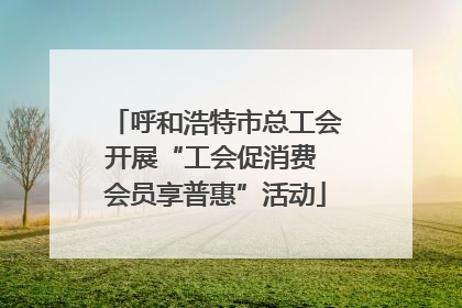 呼和浩特市总工会开展“工会促消费 会员享普惠”活动