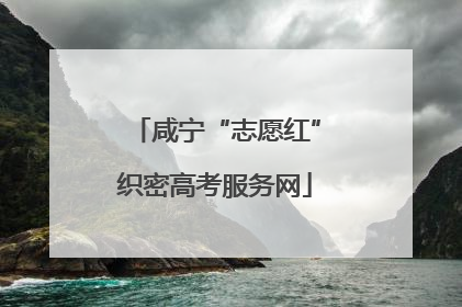 咸宁“志愿红”织密高考服务网