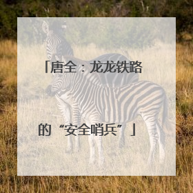 唐全：龙龙铁路的“安全哨兵”