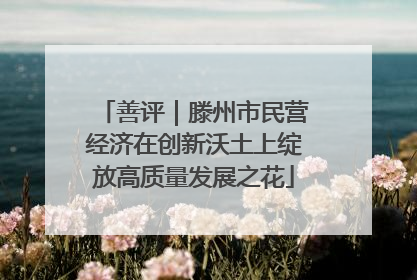 善评｜滕州市民营经济在创新沃土上绽放高质量发展之花