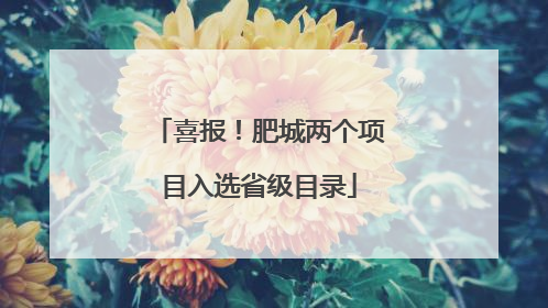 喜报！肥城两个项目入选省级目录