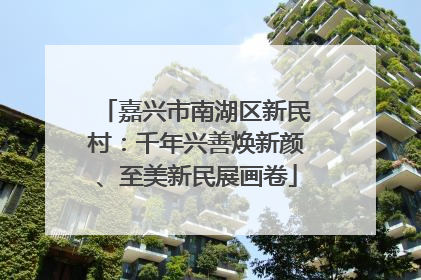 嘉兴市南湖区新民村：千年兴善焕新颜、至美新民展画卷