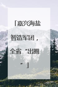 嘉兴海盐智造军团，全省“出圈”