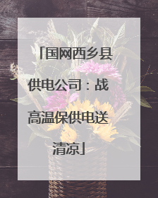 国网西乡县供电公司：战高温保供电送清凉