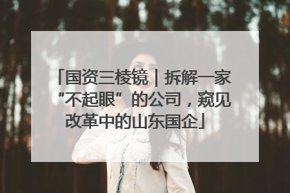 国资三棱镜｜拆解一家“不起眼”的公司，窥见改革中的山东国企
