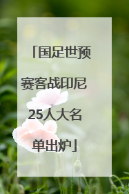 国足世预赛客战印尼25人大名单出炉