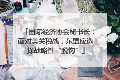 国际经济协会秘书长：面对美关税战，东盟应选择战略性“脱钩”