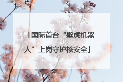 国际首台“壁虎机器人”上岗守护核安全