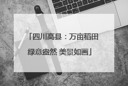 四川高县：万亩稻田绿意盎然 美景如画