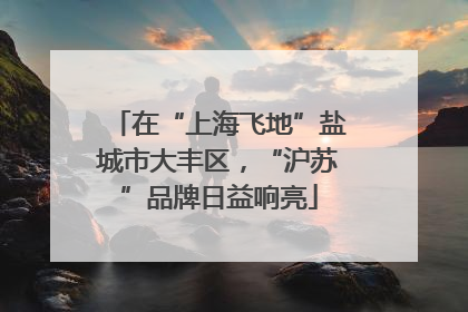 在“上海飞地”盐城市大丰区，“沪苏”品牌日益响亮