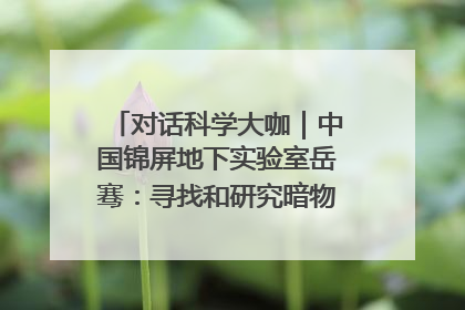 对话科学大咖｜中国锦屏地下实验室岳骞：寻找和研究暗物质，就是要去突破人类的认知边界