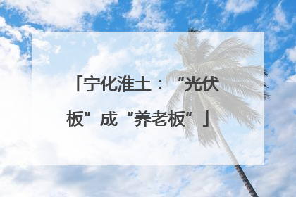 宁化淮土：“光伏板”成“养老板”