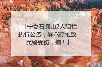宁夏石嘴山2人阻拦执行公务，辱骂撕扯致民警受伤，拘！
