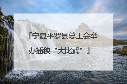 宁夏平罗县总工会举办插秧“大比武”