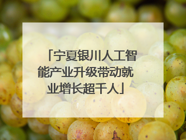宁夏银川人工智能产业升级带动就业增长超千人