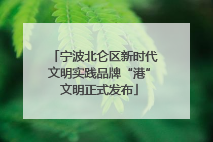 宁波北仑区新时代文明实践品牌“港”文明正式发布