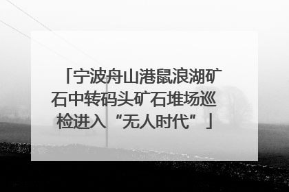 宁波舟山港鼠浪湖矿石中转码头矿石堆场巡检进入“无人时代”