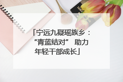 宁远九疑瑶族乡：“青蓝结对” 助力年轻干部成长