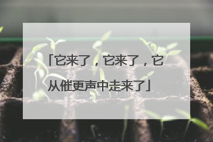 它来了，它来了，它从催更声中走来了