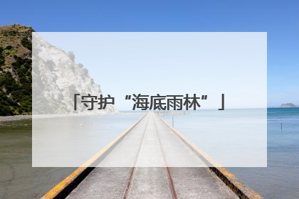 守护“海底雨林”