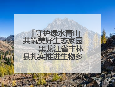 守护绿水青山 共筑美好生态家园——黑龙江省丰林县扎实推进生物多样性保护工作