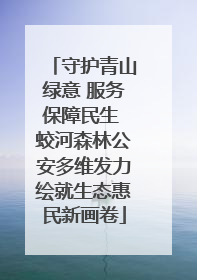 守护青山绿意 服务保障民生 蛟河森林公安多维发力绘就生态惠民新画卷